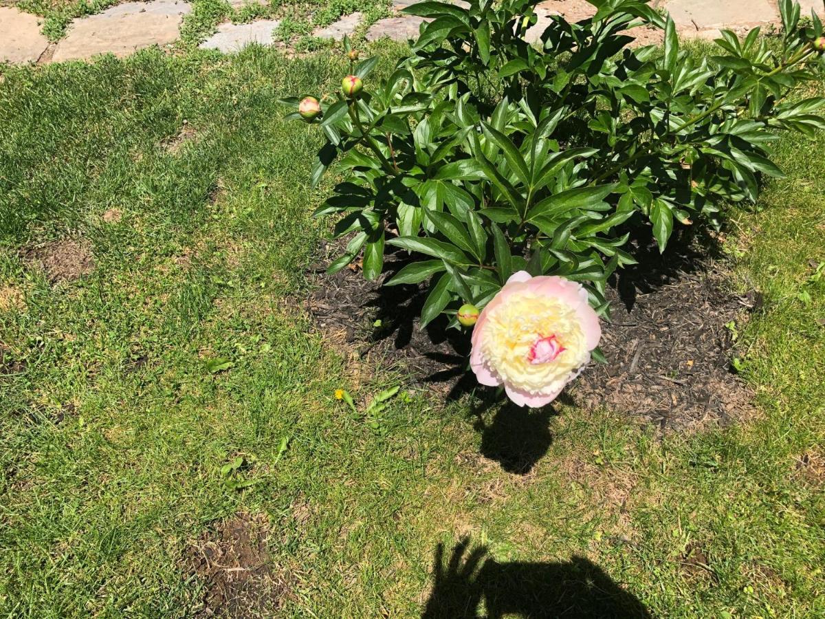 The Stella Rose B&B Wolfville Luaran gambar